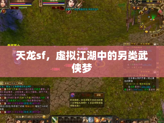 天龙sf，虚拟江湖中的另类武侠梦