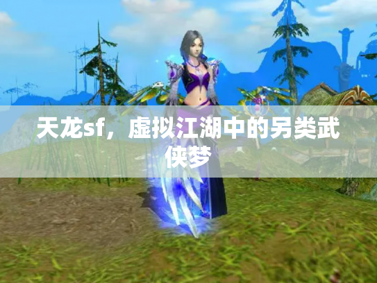 天龙sf，虚拟江湖中的另类武侠梦