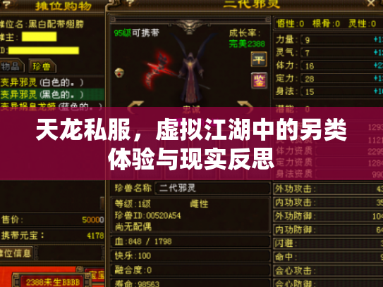 天龙私服，虚拟江湖中的另类体验与现实反思