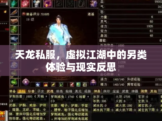 天龙私服，虚拟江湖中的另类体验与现实反思