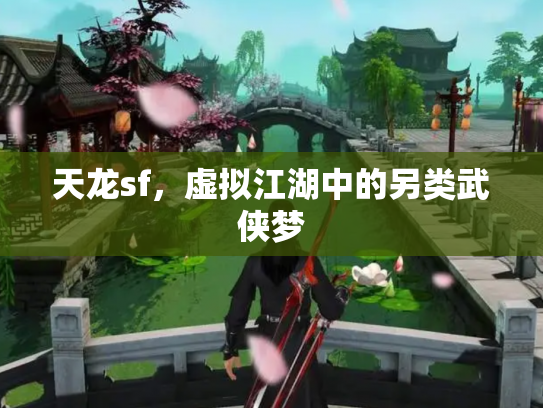 天龙sf，虚拟江湖中的另类武侠梦