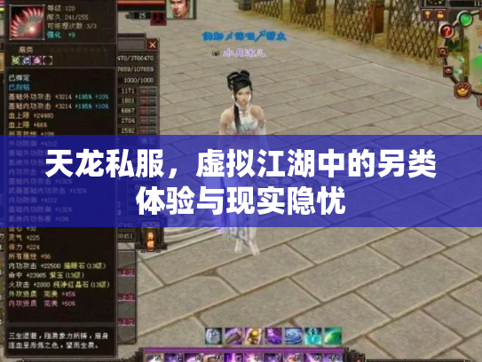 天龙私服，虚拟江湖中的另类体验与现实隐忧