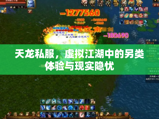 天龙私服，虚拟江湖中的另类体验与现实隐忧