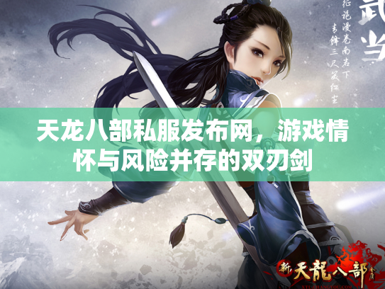 天龙八部私服发布网，游戏情怀与风险并存的双刃剑