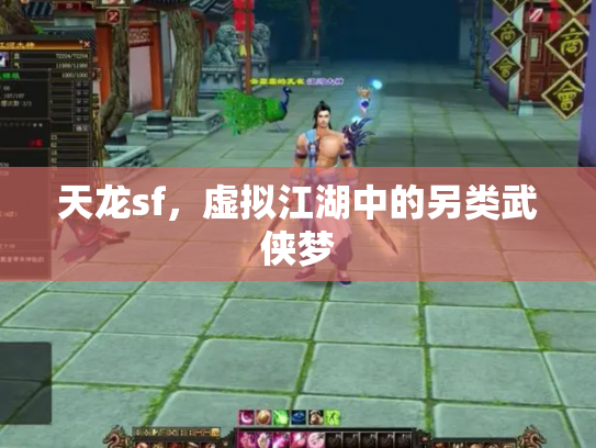 天龙sf，虚拟江湖中的另类武侠梦