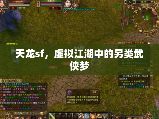 天龙sf，虚拟江湖中的另类武侠梦