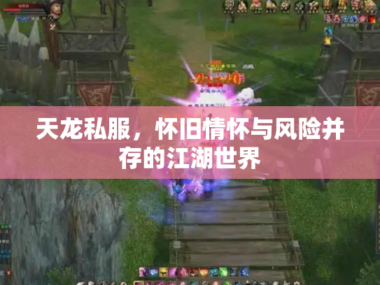 天龙私服，怀旧情怀与风险并存的江湖世界