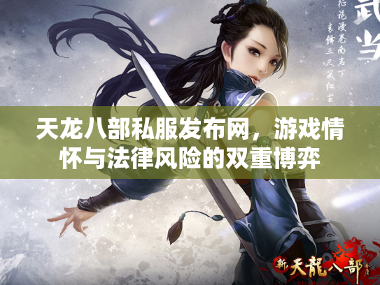 天龙八部私服发布网，游戏情怀与法律风险的双重博弈