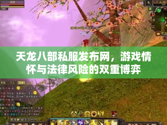 天龙八部私服发布网，游戏情怀与法律风险的双重博弈