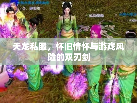 天龙私服，怀旧情怀与游戏风险的双刃剑
