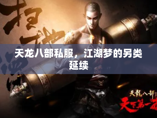 天龙八部私服，江湖梦的另类延续