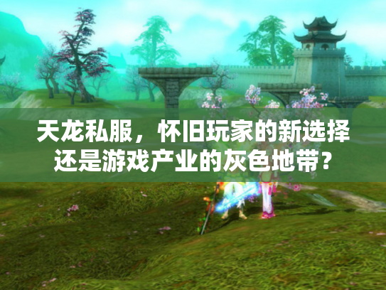 天龙私服，怀旧玩家的新选择还是游戏产业的灰色地带？