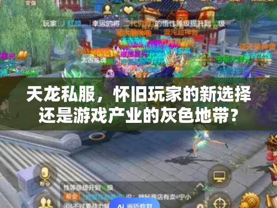 天龙私服，怀旧玩家的新选择还是游戏产业的灰色地带？