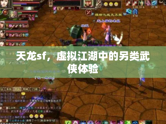 天龙sf，虚拟江湖中的另类武侠体验