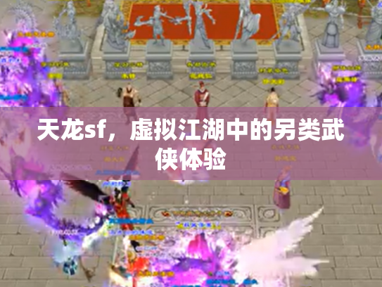 天龙sf，虚拟江湖中的另类武侠体验