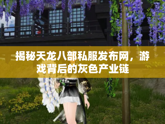 揭秘天龙八部私服发布网，游戏背后的灰色产业链