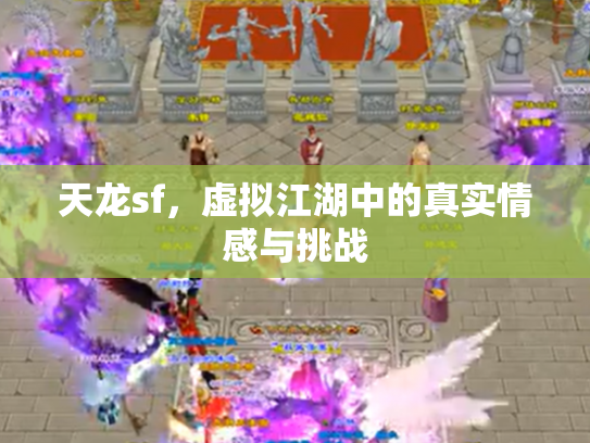天龙sf，虚拟江湖中的真实情感与挑战