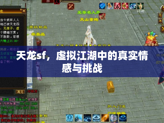 天龙sf，虚拟江湖中的真实情感与挑战