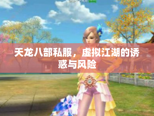 天龙八部私服，虚拟江湖的诱惑与风险