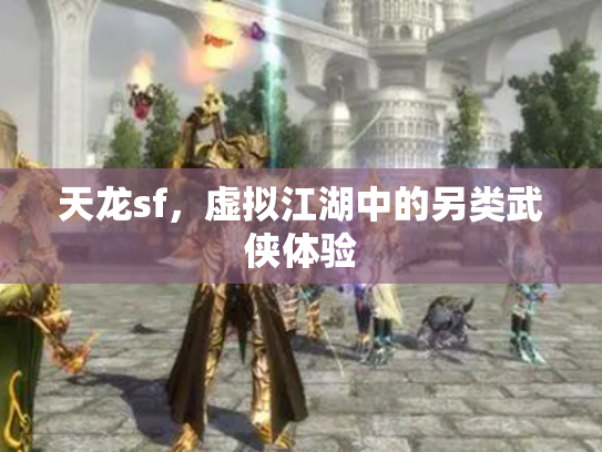 天龙sf，虚拟江湖中的另类武侠体验