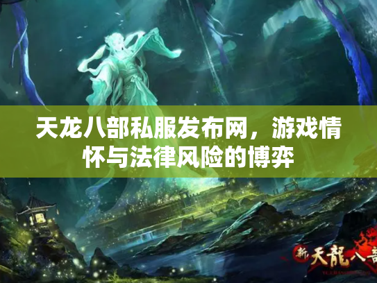 天龙八部私服发布网，游戏情怀与法律风险的博弈
