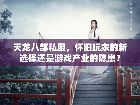 天龙八部私服，怀旧玩家的新选择还是游戏产业的隐患？