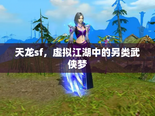 天龙sf，虚拟江湖中的另类武侠梦