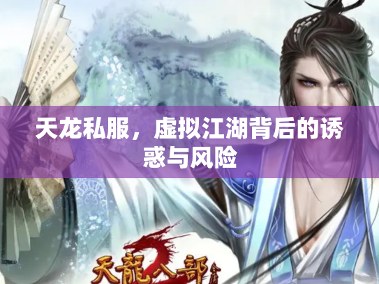天龙私服，虚拟江湖背后的诱惑与风险