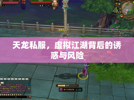 天龙私服，虚拟江湖背后的诱惑与风险