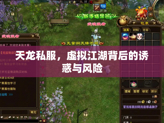 天龙私服，虚拟江湖背后的诱惑与风险