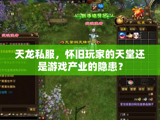 天龙私服，怀旧玩家的天堂还是游戏产业的隐患？