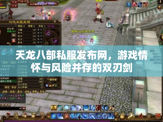 天龙八部私服发布网，游戏情怀与风险并存的双刃剑