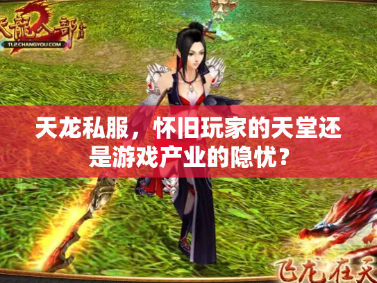 天龙私服，怀旧玩家的天堂还是游戏产业的隐忧？
