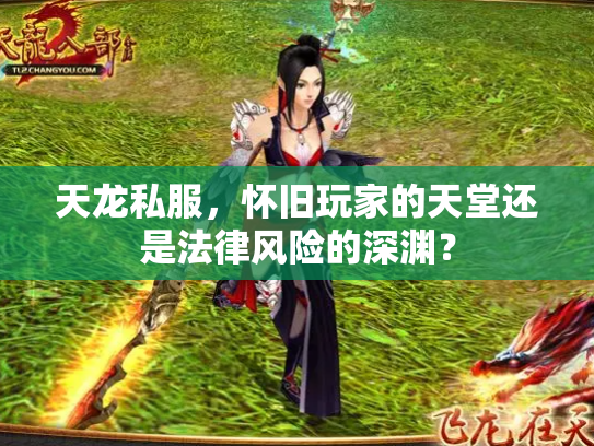 天龙私服，怀旧玩家的天堂还是法律风险的深渊？