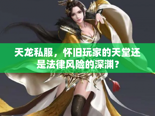 天龙私服，怀旧玩家的天堂还是法律风险的深渊？