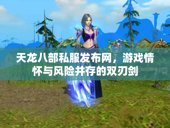 天龙八部私服发布网，游戏情怀与风险并存的双刃剑
