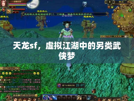 天龙sf，虚拟江湖中的另类武侠梦