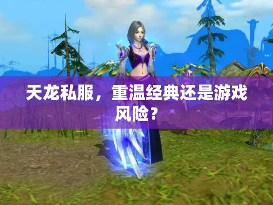 天龙私服，重温经典还是游戏风险？