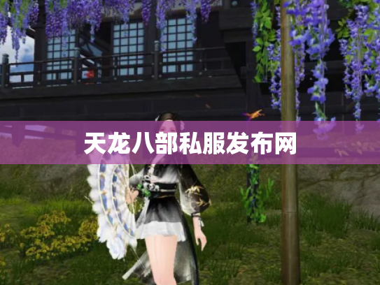 天龙八部私服发布网