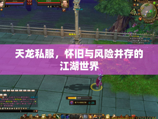 天龙私服，怀旧与风险并存的江湖世界