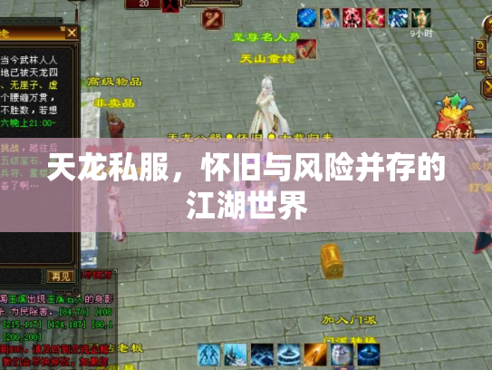 天龙私服，怀旧与风险并存的江湖世界