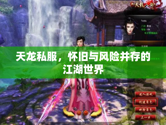 天龙私服，怀旧与风险并存的江湖世界