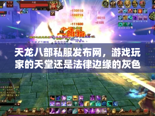 天龙八部私服发布网，游戏玩家的天堂还是法律边缘的灰色地带？