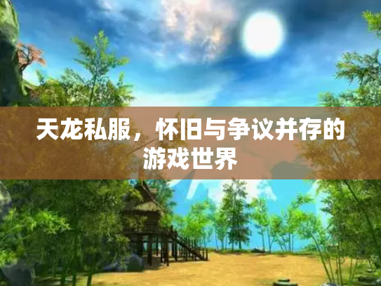 天龙私服，怀旧与争议并存的游戏世界