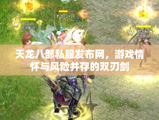 天龙八部私服发布网，游戏情怀与风险并存的双刃剑