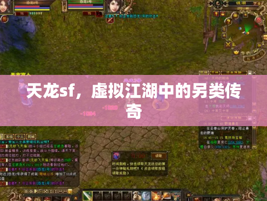 天龙sf，虚拟江湖中的另类传奇