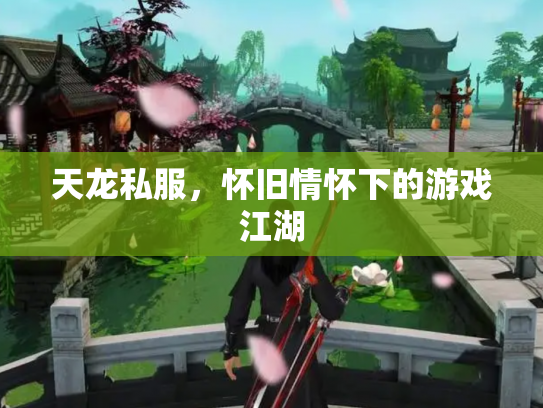 天龙私服，怀旧情怀下的游戏江湖