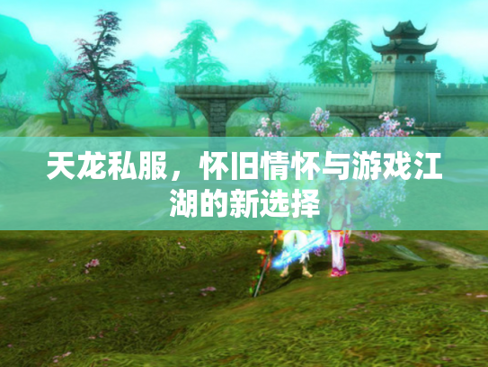 天龙私服，怀旧情怀与游戏江湖的新选择