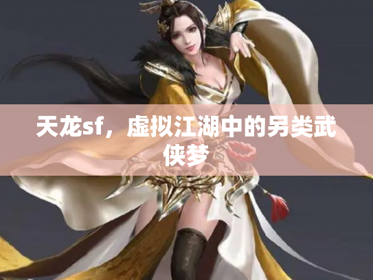 天龙sf，虚拟江湖中的另类武侠梦