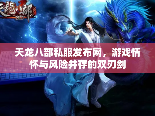天龙八部私服发布网，游戏情怀与风险并存的双刃剑